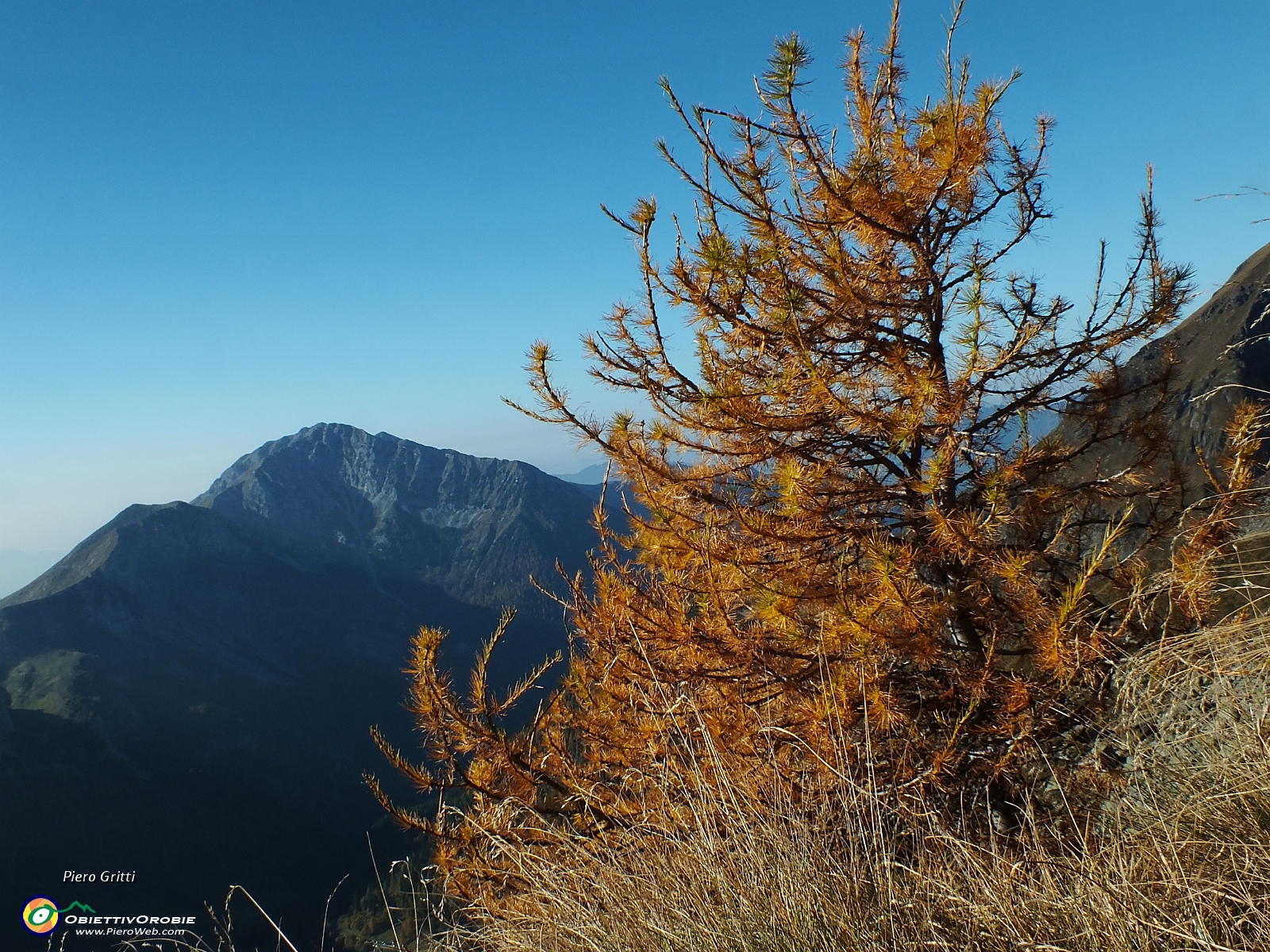 21 larici colorati d'autunno....JPG